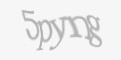 Защитный код