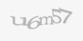 Защитный код